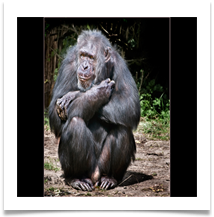 DEEP IN THOUGHT - Des Hawley